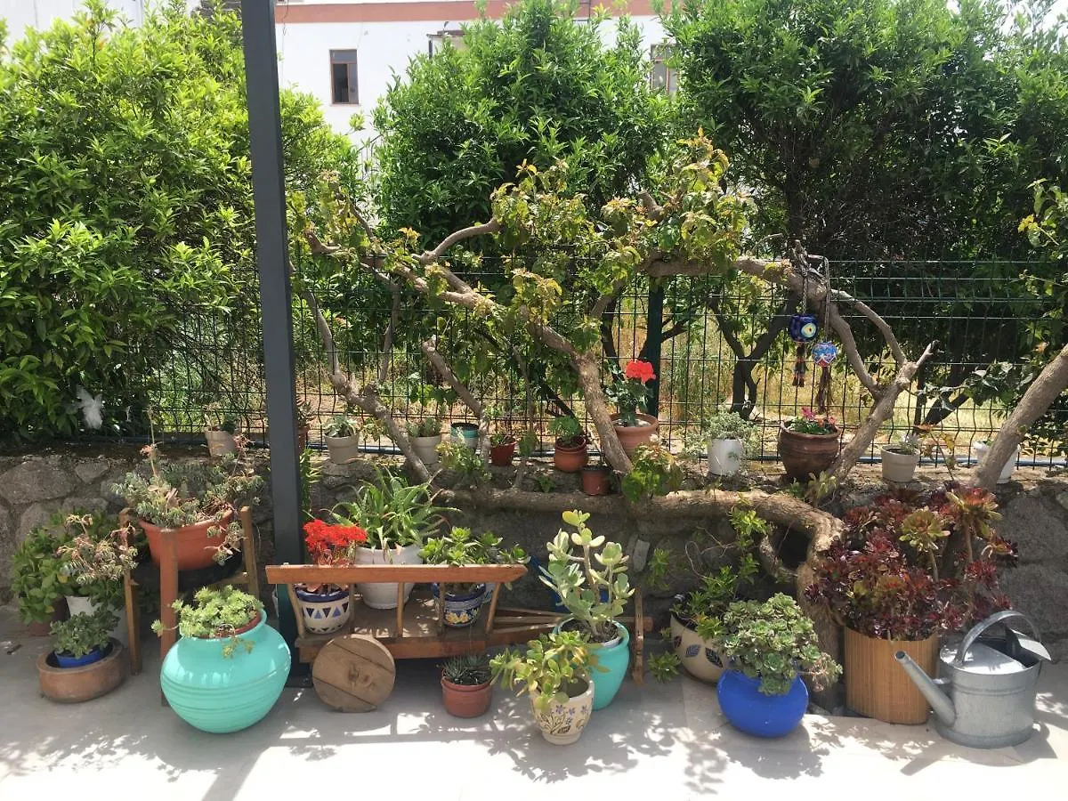 Villa Oliva Butik Hotel Bodrum