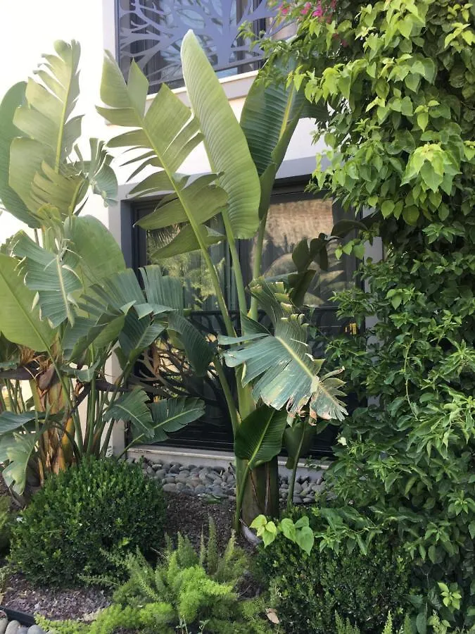 Villa Oliva Butik Hotel Bodrum